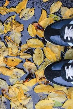 Top-down view of black and white sneakers standing in a puddle covered with.. Stock Photos