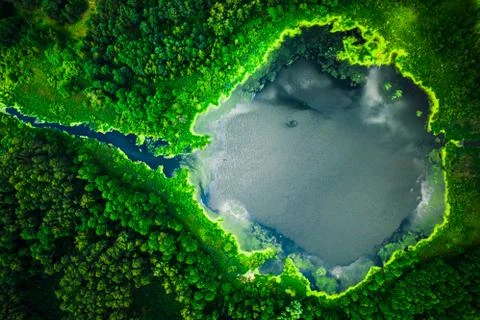 Top down view of blooming algae on lake, aerial view Stock Photos