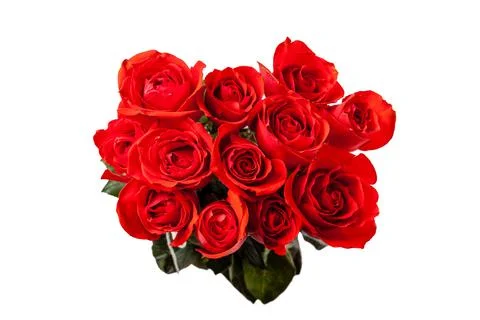 Top down View of Bouquet of Dozen Red Roses Isolated on White Stock Photos