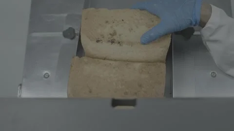 Top-down view of bread loaves moving through a commercial slicer Stockbeeldmateriaal 327357272