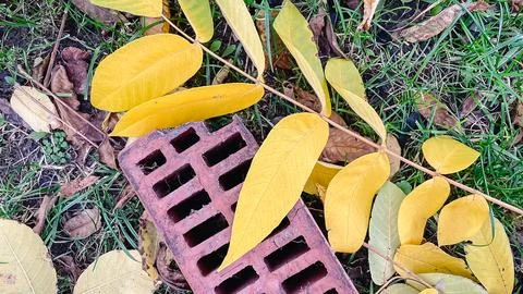Top-down view of a broken red brick drainage piece surrounded by colorful a.. Stock Photos