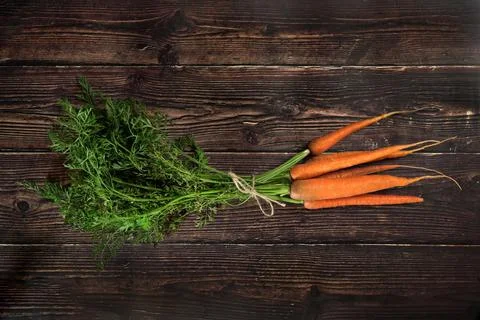Top down view, bunch of fresh carrot roots with green leaves, holding togethe Stock Photos