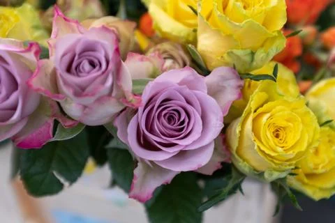 A top down view of bunches of multi-coloured roses for sale at a local market Stock Photos
