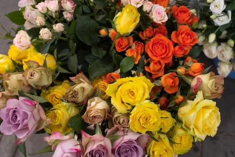 A top down view of bunches of multi-coloured roses for sale at a local market Stock Photos