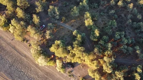 Top down view of camping tents and 4x4 car under trees in riverside forest Vidéo 334624907