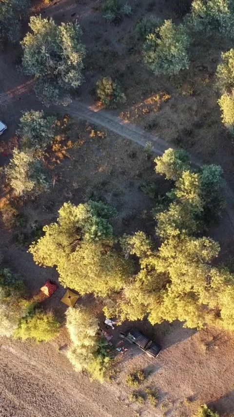 Top down view of camping tents and 4x4 car under trees in riverside forest Stock Footage 336687660