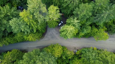 Top down view of campsite in the middle of the forest. Cars and campfire Stock Footage 140059251