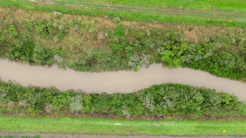 Top-Down View of Canal in Paraná Delta Stock-Footage 320457466