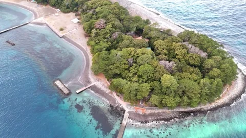 Top Down View | Cape Mihama | Coastline | Pine Forest | Aerial | 4K Stock Footage 329063981
