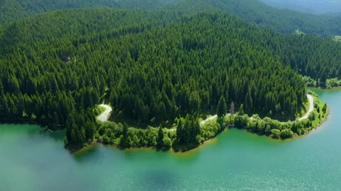 Top down view of Car driving along the mountain forest road. Pine trees forest. Stock Footage 150588257