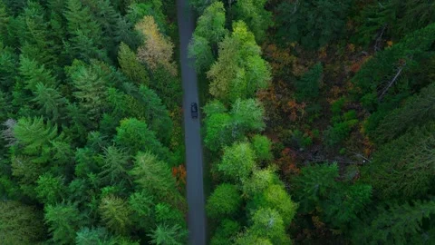 Top down view of car driving along the road among the forest Stock Footage 285853709
