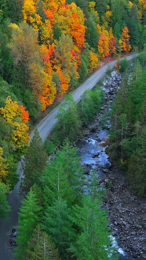 Top down view of car driving along the road among the autumn forest Stock Footage 317760910
