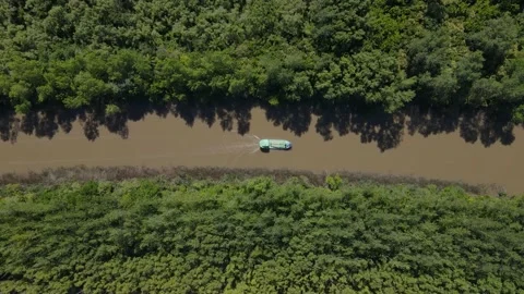 Top down view of cargo ship in narrow steam, sunny day and rainforest Stock Footage 151700117