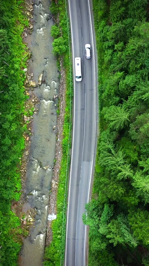 Top down view of cars driving along the road among the coniferous forest Video stock 343572019