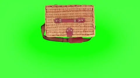 Top-down view of a cat jumping out of a picnic basket on green screen chroma key Vidéo 249903869