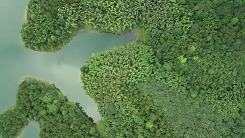 Top Down View of Changsha County Wuchuan Lake Video stock 171265487