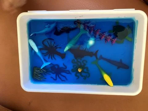 Top-down view of a children's ocean sensory bin Stock Photos