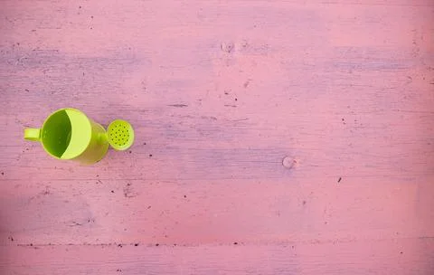 Top down view of a children's small green gardening watering can on a pink ba Stock Photos
