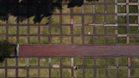 Top down view, Ciudad Universitaria, Mexico City Stock Footage 148398826