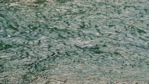 Top-down view of a clear, fast-flowing mountain river Vídeos de archivo 335046055