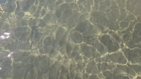 Top down view of clear sea water with shimmering caustic light patterns Stock Footage 317578808