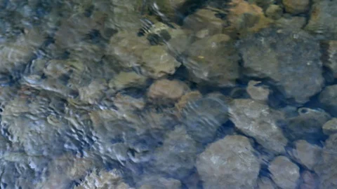 Top down view of clear water river Stock Footage 127713866
