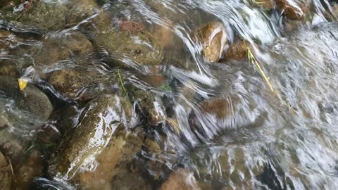 Top-Down View of Clear Water Flowing Over Pebbles in a Shallow Stream Stock Footage 340051331