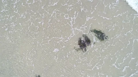 Top Down View Of Coastal Scene] The Concept of Calmness Stock Footage 331984410