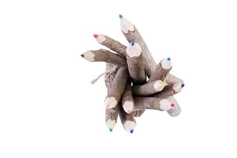 Top down view on colored pencils with bark finish Stock Photos