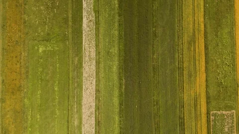 Top-down view of colorful stripes on fields Stock Footage 317833232