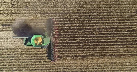 Top down view of combine harvester entering frame in maize field Stock-Footage 93823914