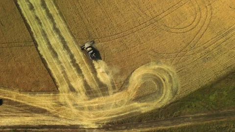 Top down view of a combine harvester working in a wheat field. The agricultural Video stock 253185762
