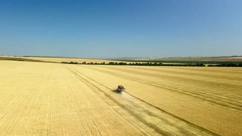 Top down view of a combine harvester working in a wheat field. The agricultural Stock Footage 253185781