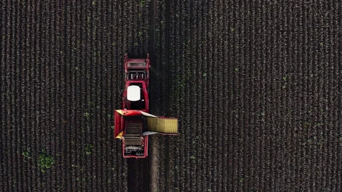 Top-Down View of Combine Harvester in Potato Field Stock-Footage 266752149