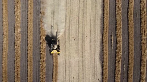 Top down view of combine harvesting field Video stock 163369812