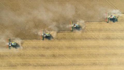 Top down view of Combine machines working in wheat field . Stock Footage 134517820