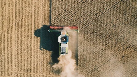 Top down view of Combine working in wheat field . agriculture machine harvesting Stock Footage 134397550