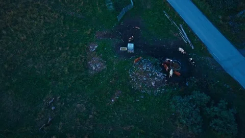 Top-down View of Cows at a Farm Water Station - Rotating Left Video stock 331066893