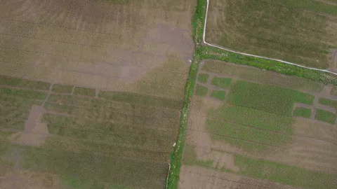Top Down View of Cracked Ground Field Stock Footage 255039567