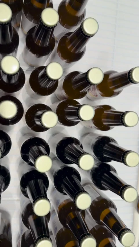 Top Down View of Craft Beer Bottles and Cans in Refrigerator Stock Footage 344624576