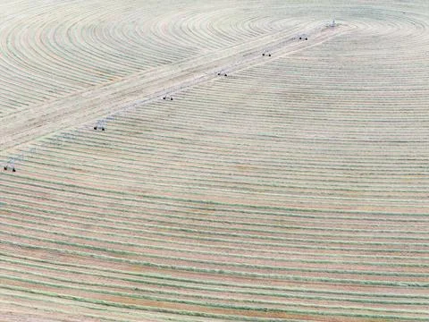 Top-down view of curved crop fields Stock Photos