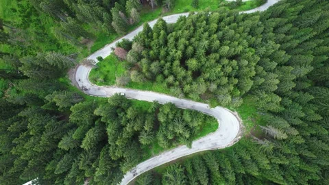 Top down view of curvy asphalt road in woods Stock Footage 201940373