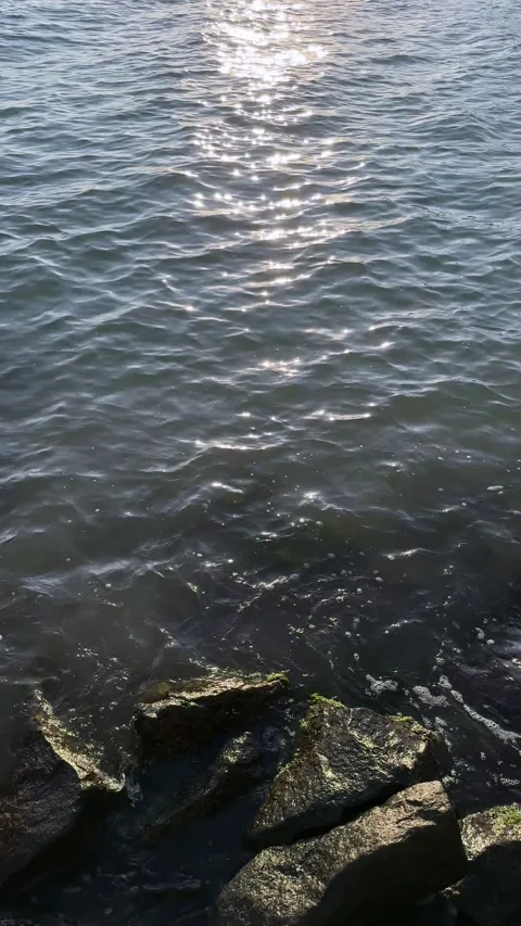 Top down view of dark blue ocean water gently washing over black coastal rocks Stock Footage 341464429