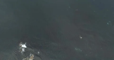 Top Down View of Dark Sea Rocks The Concept of Habitat Stock-Footage 323000483