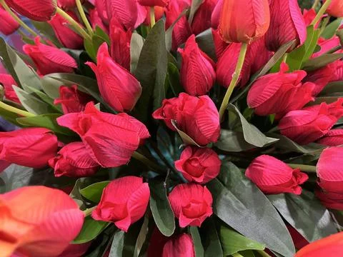 Top-down view of dense artificial red and orange tulip Photos
