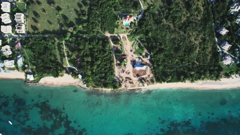 Top-down view of dense forest and rooftops on the seashore Vídeo Stock 136405198