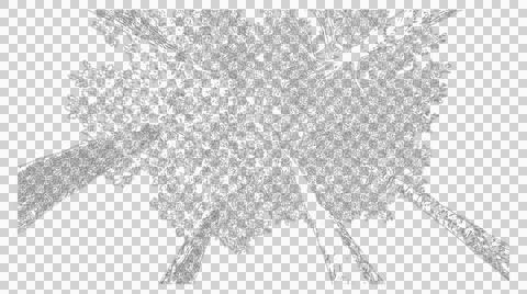 Top down view of dense tree canopy isolated on transparent background Stock Illustration