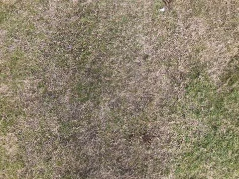 Top down view of desolate dry grass Stock Photos