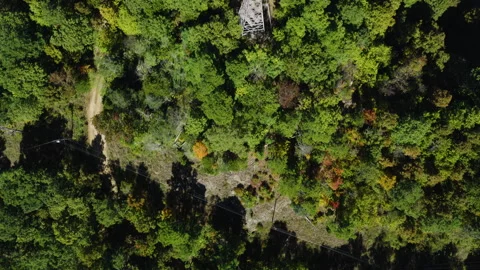 Top Down View of Devils Knob Fire Tower Stock Footage 324947966