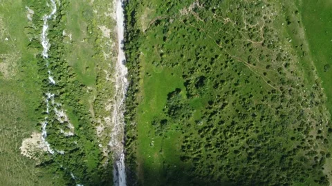 Top down view of dirt road and river among green bushes in Kazakhstan Stock-Footage 337179506